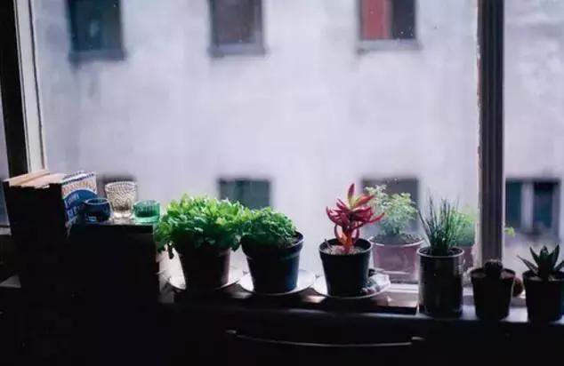 谁愿遇见,渐行渐远渐无书 谁愿遇见,渐行渐远渐无书