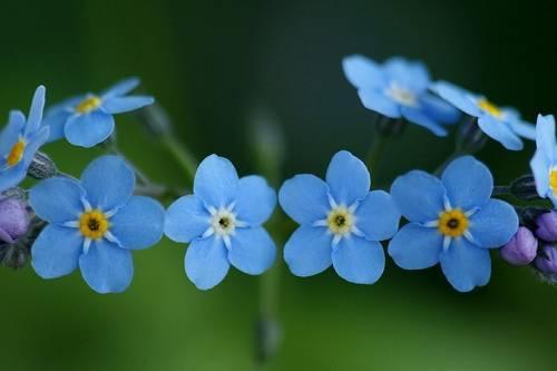 那些说到心坎美到窒息的经典感情语录