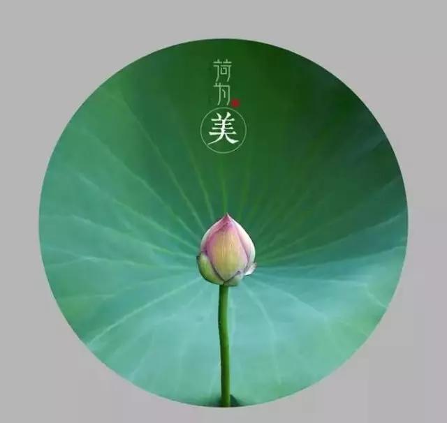 人生没有重来，生命无法倒带
