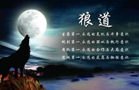 《狼图腾》人要活得有点狼性
