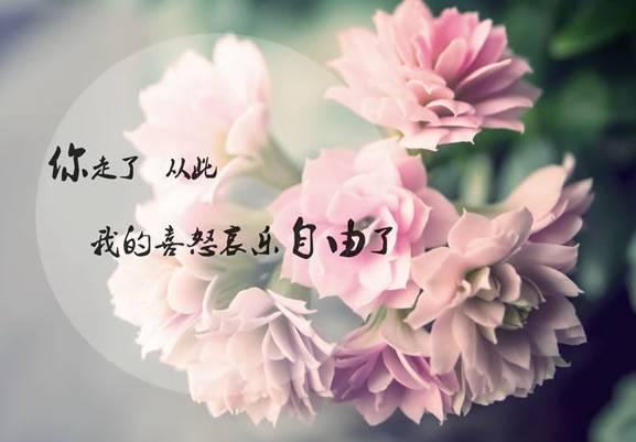 经典励志语录：胸无大志，枉活一世