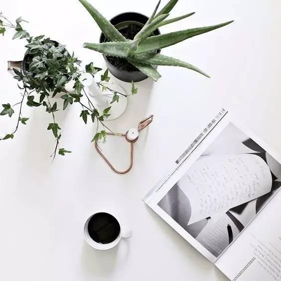 人这一辈子,难免会经历些坎坷 人这一辈子,难免会经历些坎坷