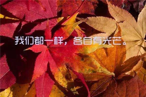 20句励志语录，这才是正能量励志的句子