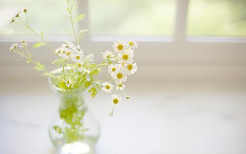 一句话最经典的人生哲理语录