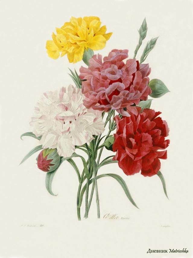 精辟到噎死人的经典语录,透彻至极 精辟到噎死人的经典语录,透彻至极