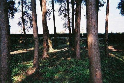 生活是个万花筒，酸甜苦辣尽藏其中