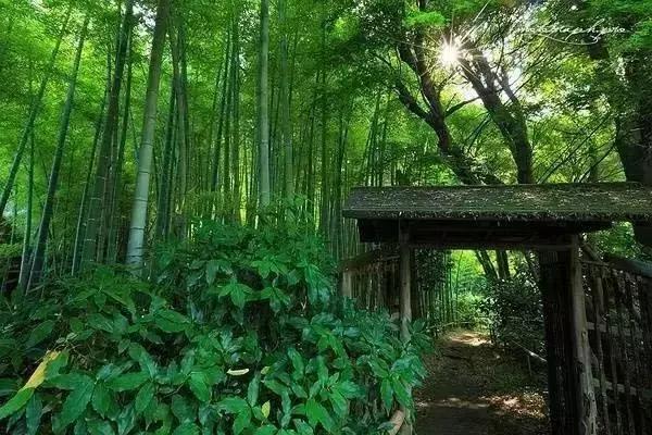 大悟之人，知世故而不世故