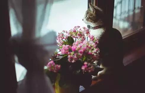 人字有两笔 : 一笔写执着，一笔写放下