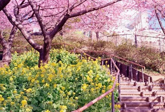 想要别人爱你的话，就要去爱别人，做一个可爱的人