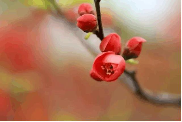 14句话，很深刻，句句是人生