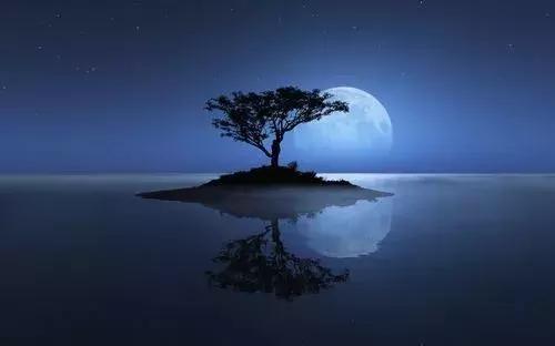 秋风起深情，爱在秋月夜