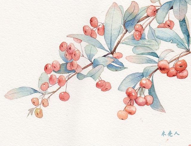 人生，人走茶凉，守心自暖