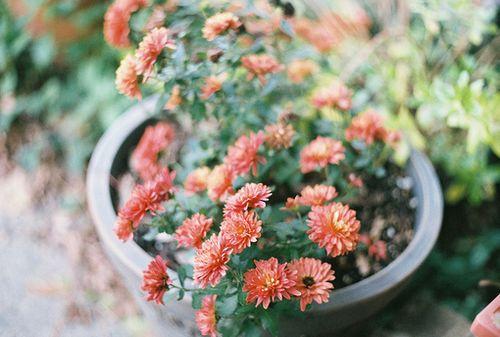 治愈自己心情的精美语录