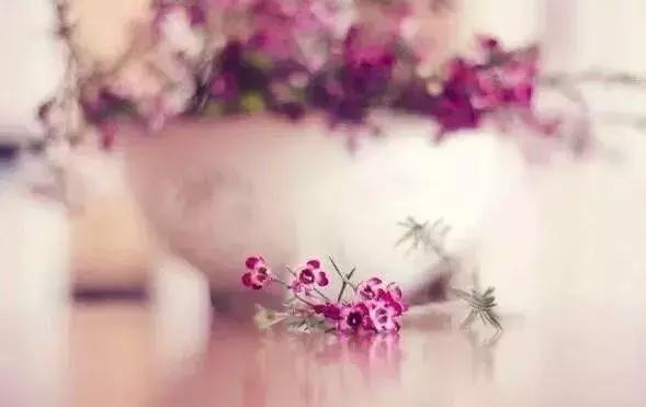 岁月里，那抹依心的暖