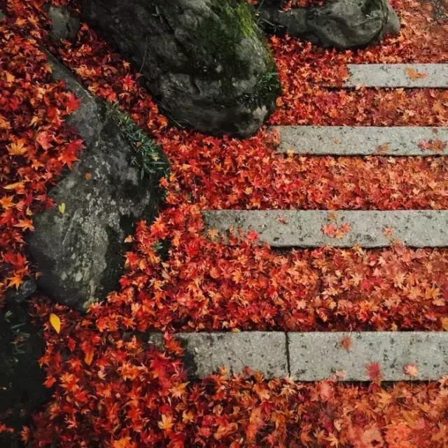 守好心，走好路，活得像自己