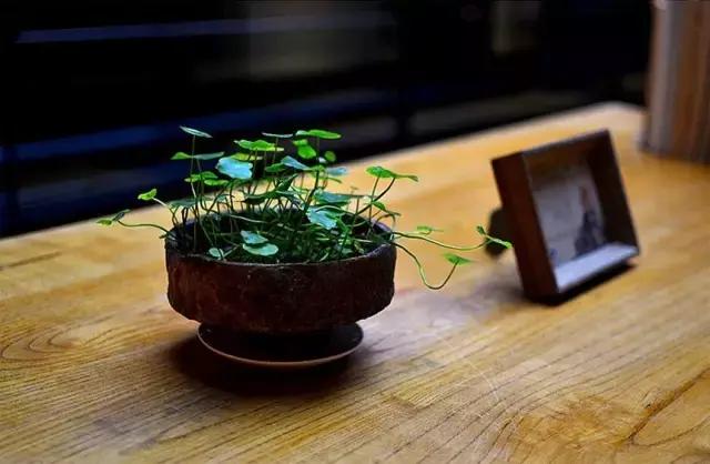 茶亦醉人何必酒，书能香我无须花