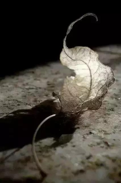 人生很短，路又很长