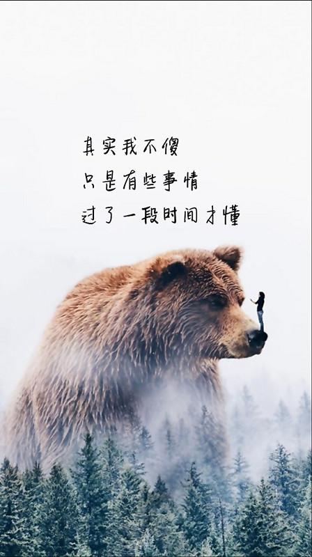 爱,就是一次冒险,结果难以预料 爱,就是一次冒险,结果难以预料