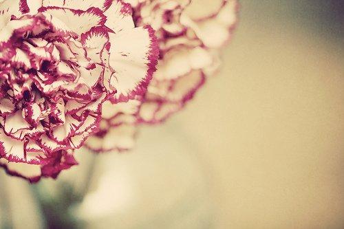 朋友圈充满正能量的情感语录