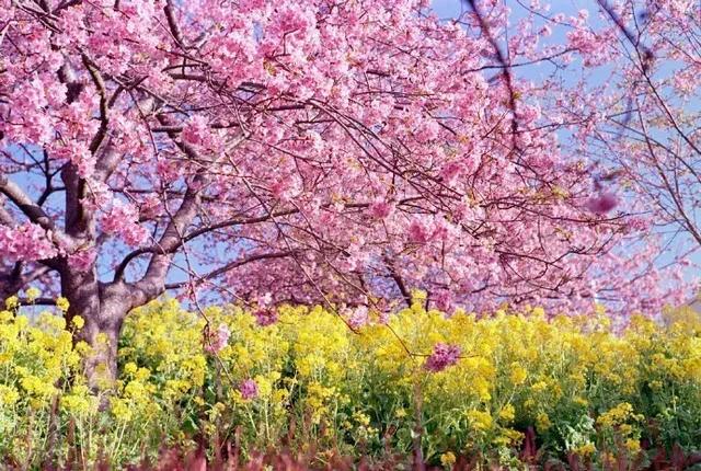 想要别人爱你的话，就要去爱别人，做一个可爱的人
