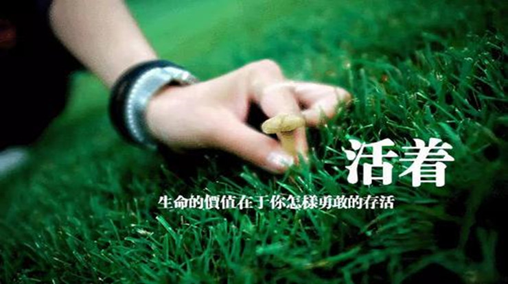 生活的意义-活法读后感1000字