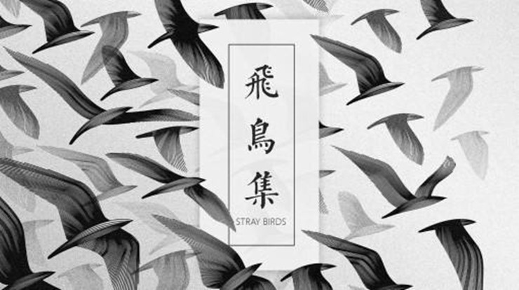 《飞鸟集》读后感