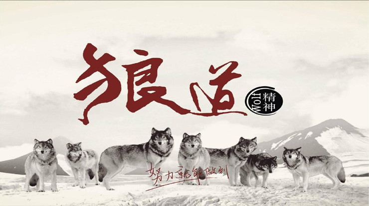 狼群精神《狼道》读后感