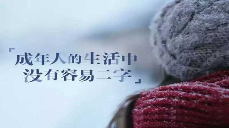成年人不能被生活轻易压垮