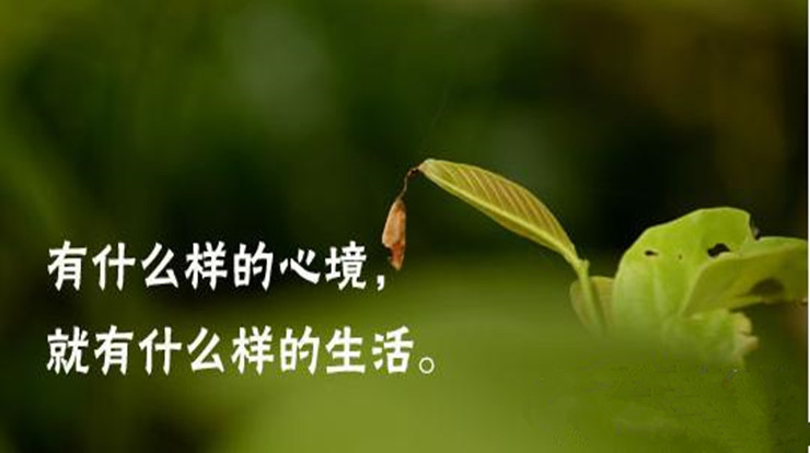 生活是自己的,不是过给别人看的