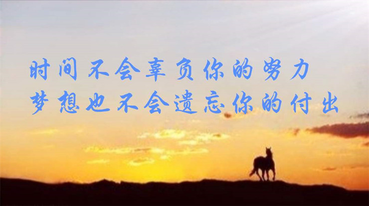 世界不曾亏待每个努力的人
