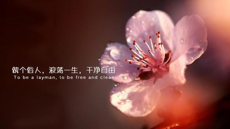 放下清高做个俗人