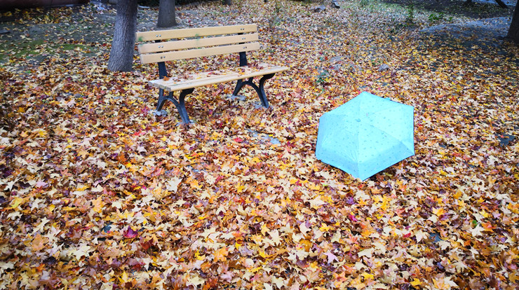 《厚积落叶听雨声》读后感