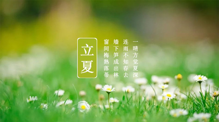 《二十四节气志》读后感
