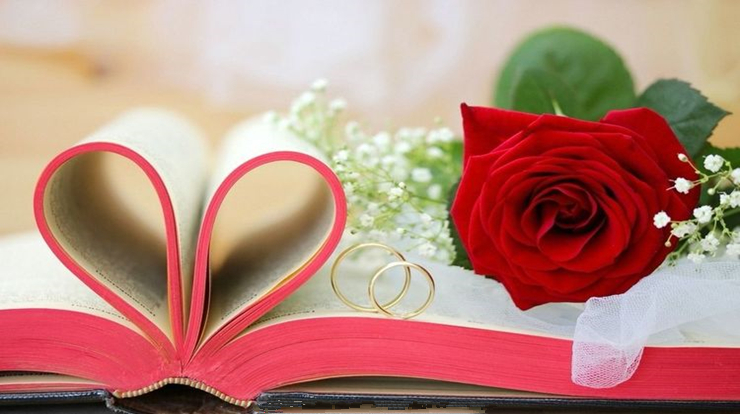 《玫瑰与教育》热爱生命读后感