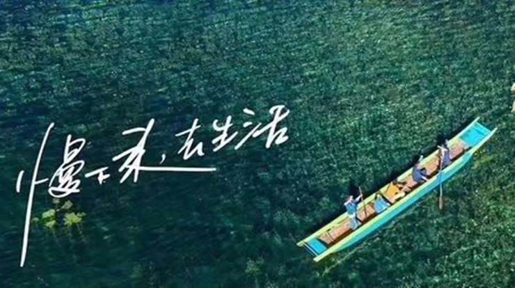 让自己慢下来，是为了做一个不急不躁，沉得住气的人