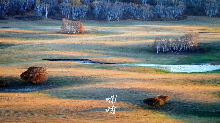 美文励志：悄悄拔尖,然后惊艳所有人