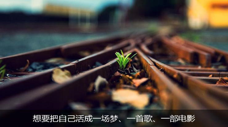 人生半梦半醒，糊涂着活，从容着过