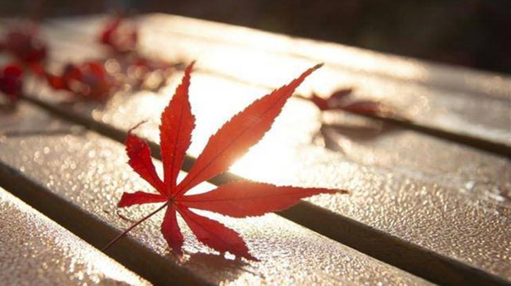 鬼谷子看透人性的三大处世智慧