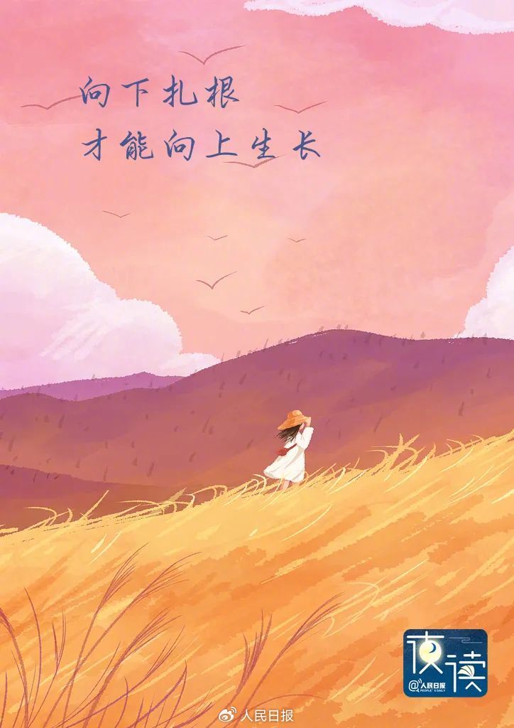 人民日报夜读：向下扎根，才能向上生长